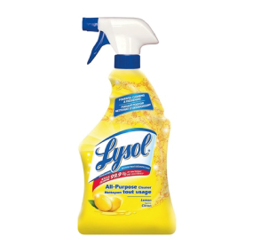 Lysol All Purpose Cleaner 600ml